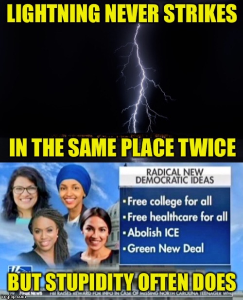 Socialist Democrats | image tagged in democrats,lightning,stupidity,socialism,economic suicide | made w/ Imgflip meme maker