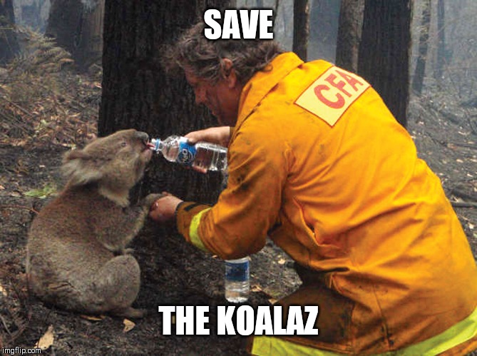 SAVE THE KOALAZ | made w/ Imgflip meme maker
