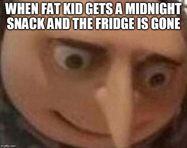 gru meme | WHEN FAT KID GETS A MIDNIGHT SNACK AND THE FRIDGE IS GONE | image tagged in gru meme | made w/ Imgflip meme maker