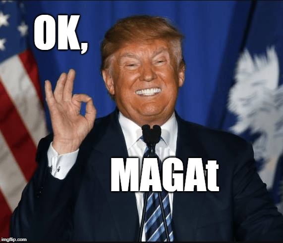 "OK MAGAt" | OK, MAGAt | image tagged in okay | made w/ Imgflip meme maker