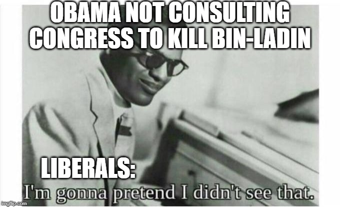 Im gonna pretend i didnt see that | OBAMA NOT CONSULTING CONGRESS TO KILL BIN-LADIN; LIBERALS: | image tagged in im gonna pretend i didnt see that | made w/ Imgflip meme maker