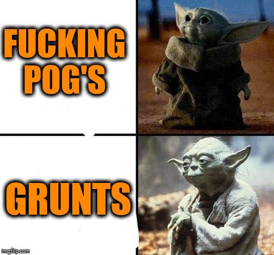 Grunts in a nutshell | FUCKING
POG'S; GRUNTS | image tagged in infantry,usmc,army,military | made w/ Imgflip meme maker