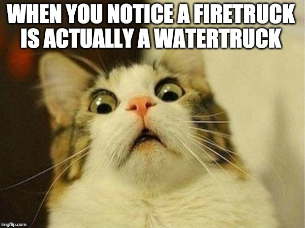 Scared Cat Meme | WHEN YOU NOTICE A FIRETRUCK IS ACTUALLY A WATERTRUCK | image tagged in memes,scared cat | made w/ Imgflip meme maker