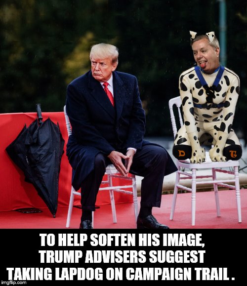 Lindsey Gets a Promotion... | TO HELP SOFTEN HIS IMAGE, TRUMP ADVISERS SUGGEST TAKING LAPDOG ON CAMPAIGN TRAIL . | image tagged in lindsey graham,donald trump,impeach trump,crooked,trump is a moron | made w/ Imgflip meme maker