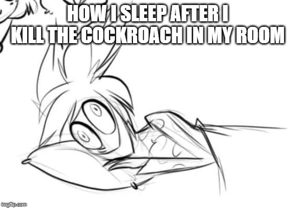 Oh lookie here! MORE FUCKING HAZBIN HOTEL CONTENT!!! | HOW I SLEEP AFTER I KILL THE COCKROACH IN MY ROOM | image tagged in hazbin hotel,unoriginal,i have no idea what i am doing,help | made w/ Imgflip meme maker