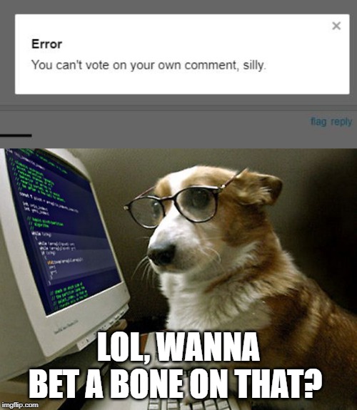 Hacker Dog | LOL, WANNA BET A BONE ON THAT? | image tagged in corgi hacker,memes,funny memes,dogs,fun,hackers | made w/ Imgflip meme maker