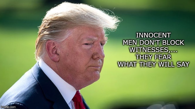 Guilty | INNOCENT MEN DON'T BLOCK WITNESSES,... THEY FEAR WHAT THEY WILL SAY | image tagged in trump,impeached,gop,putin,fear,liar | made w/ Imgflip meme maker