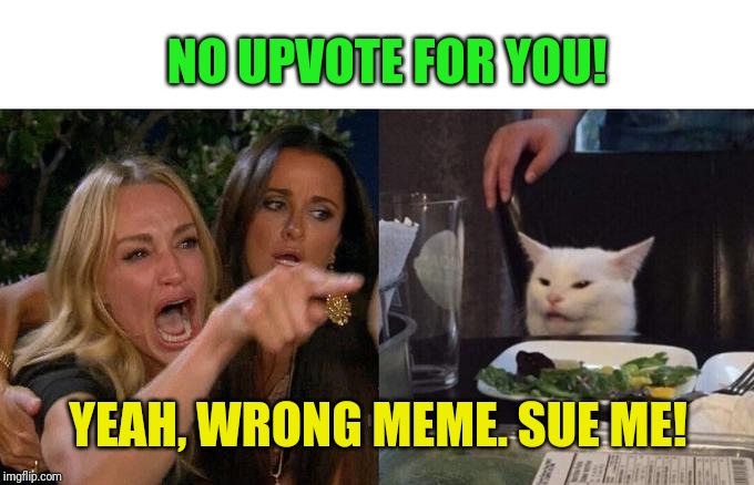 Woman Yelling At Cat Meme | NO UPVOTE FOR YOU! YEAH, WRONG MEME. SUE ME! | image tagged in memes,woman yelling at cat | made w/ Imgflip meme maker