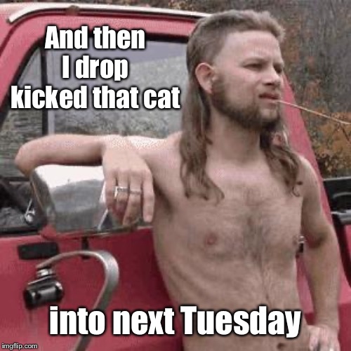 almost redneck | And then I drop kicked that cat into next Tuesday | image tagged in almost redneck | made w/ Imgflip meme maker