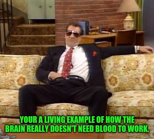  YOUR A LIVING EXAMPLE OF HOW THE BRAIN REALLY DOESN'T NEED BLOOD TO WORK. | image tagged in al bundy,come back,insults | made w/ Imgflip meme maker