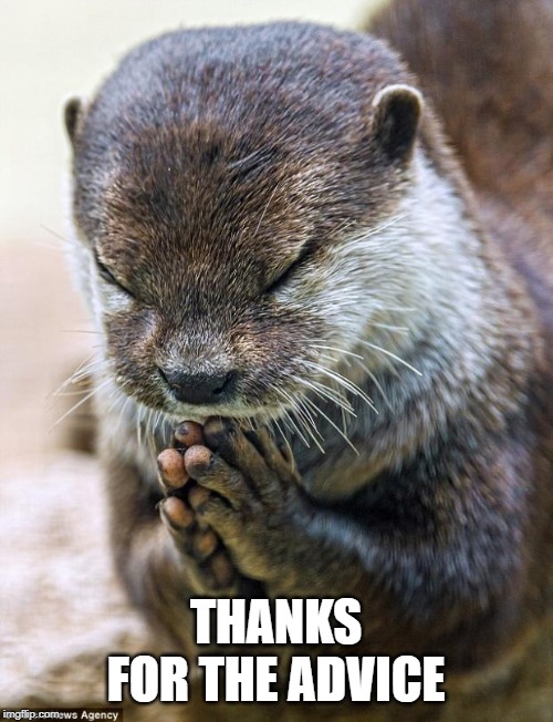 Thank you Lord Otter | THANKS FOR THE ADVICE | image tagged in thank you lord otter | made w/ Imgflip meme maker