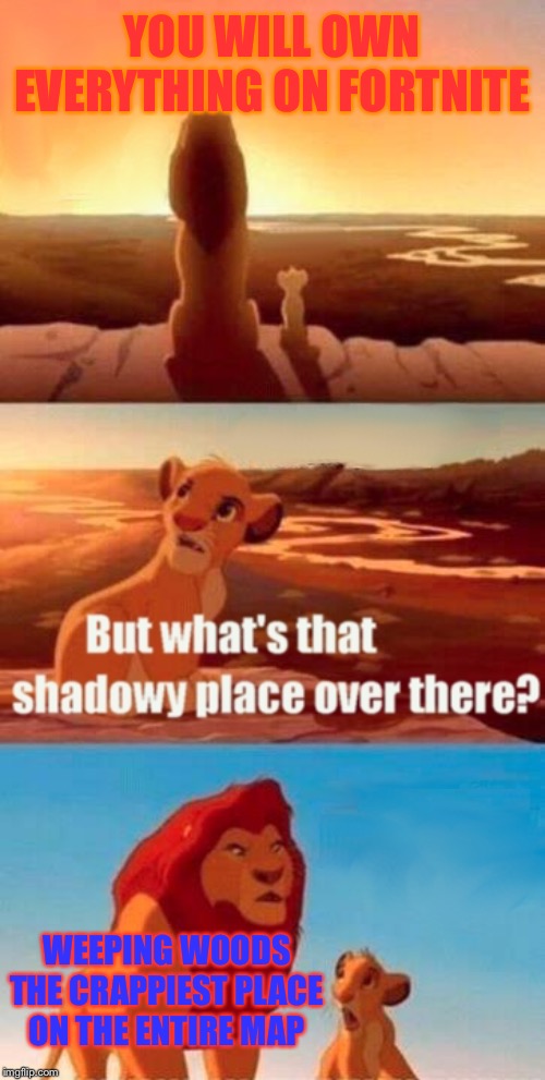 Simba Shadowy Place | YOU WILL OWN EVERYTHING ON FORTNITE; WEEPING WOODS THE CRAPPIEST PLACE ON THE ENTIRE MAP | image tagged in memes,simba shadowy place | made w/ Imgflip meme maker