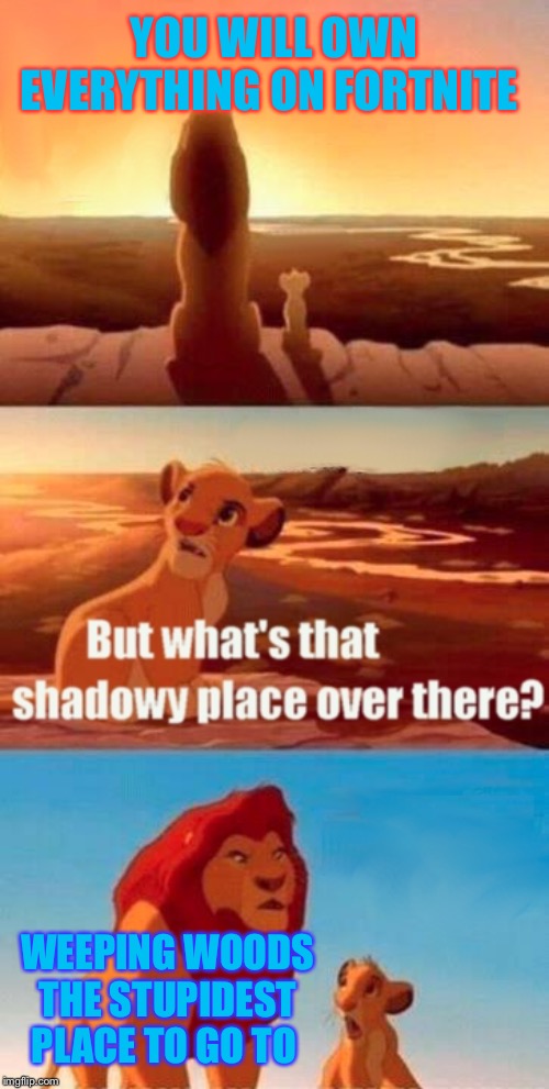 Simba Shadowy Place | YOU WILL OWN EVERYTHING ON FORTNITE; WEEPING WOODS THE STUPIDEST PLACE TO GO TO | image tagged in memes,simba shadowy place | made w/ Imgflip meme maker