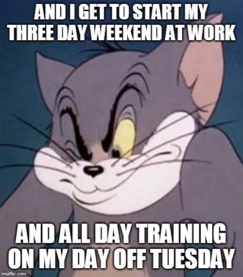 Tom cat | AND I GET TO START MY THREE DAY WEEKEND AT WORK AND ALL DAY TRAINING ON MY DAY OFF TUESDAY | image tagged in tom cat | made w/ Imgflip meme maker