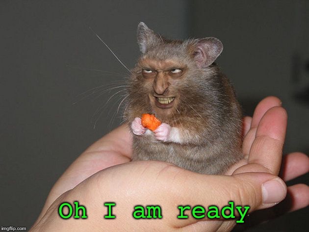 Oh I am ready | made w/ Imgflip meme maker
