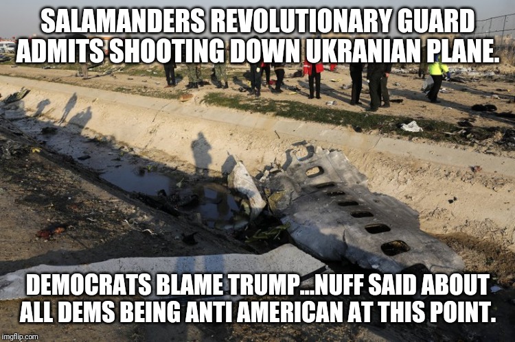 Did FDR CAUSE the Holocaust by fighting Hitler? | SALAMANDERS REVOLUTIONARY GUARD ADMITS SHOOTING DOWN UKRANIAN PLANE. DEMOCRATS BLAME TRUMP...NUFF SAID ABOUT ALL DEMS BEING ANTI AMERICAN AT THIS POINT. | image tagged in iran,liberal logic,idiots,special,democrats,maga | made w/ Imgflip meme maker