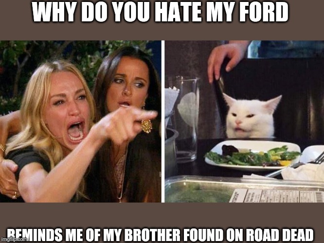 Smudge the cat | WHY DO YOU HATE MY FORD; REMINDS ME OF MY BROTHER FOUND ON ROAD DEAD | image tagged in smudge the cat | made w/ Imgflip meme maker