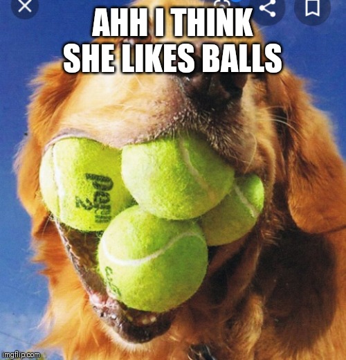 AHH I THINK SHE LIKES BALLS | made w/ Imgflip meme maker