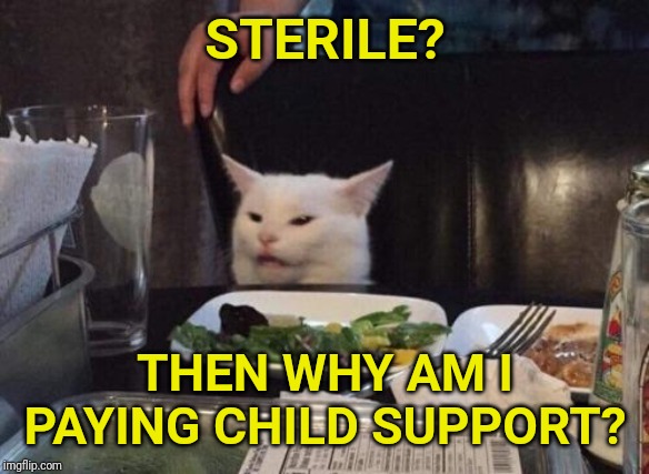 Salad cat | STERILE? THEN WHY AM I PAYING CHILD SUPPORT? | image tagged in salad cat | made w/ Imgflip meme maker