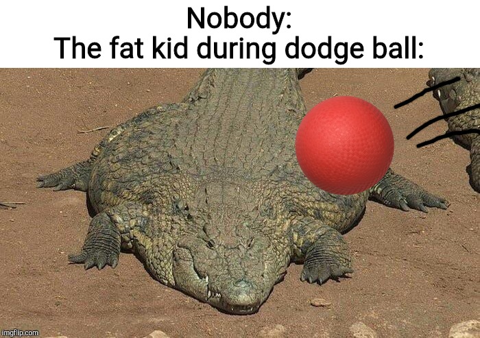 Thicc crocodile | Nobody:
The fat kid during dodge ball: | image tagged in thicc crocodile | made w/ Imgflip meme maker