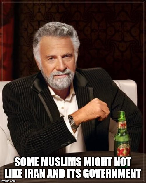 The Most Interesting Man In The World Meme | SOME MUSLIMS MIGHT NOT LIKE IRAN AND ITS GOVERNMENT | image tagged in memes,the most interesting man in the world | made w/ Imgflip meme maker