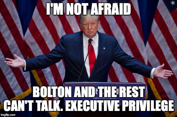 Donald Trump | I'M NOT AFRAID BOLTON AND THE REST CAN'T TALK. EXECUTIVE PRIVILEGE | image tagged in donald trump | made w/ Imgflip meme maker