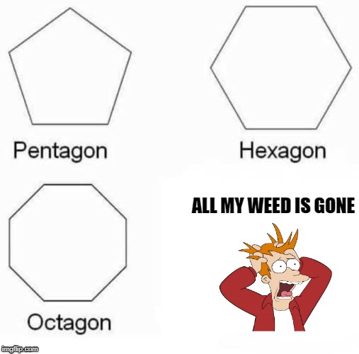 allmyweedisgon | ALL MY WEED IS GONE | image tagged in fry,weed | made w/ Imgflip meme maker