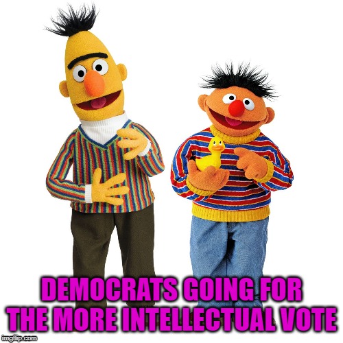 democrat candidate | DEMOCRATS GOING FOR THE MORE INTELLECTUAL VOTE | image tagged in democrats,presidential candidates,smart | made w/ Imgflip meme maker