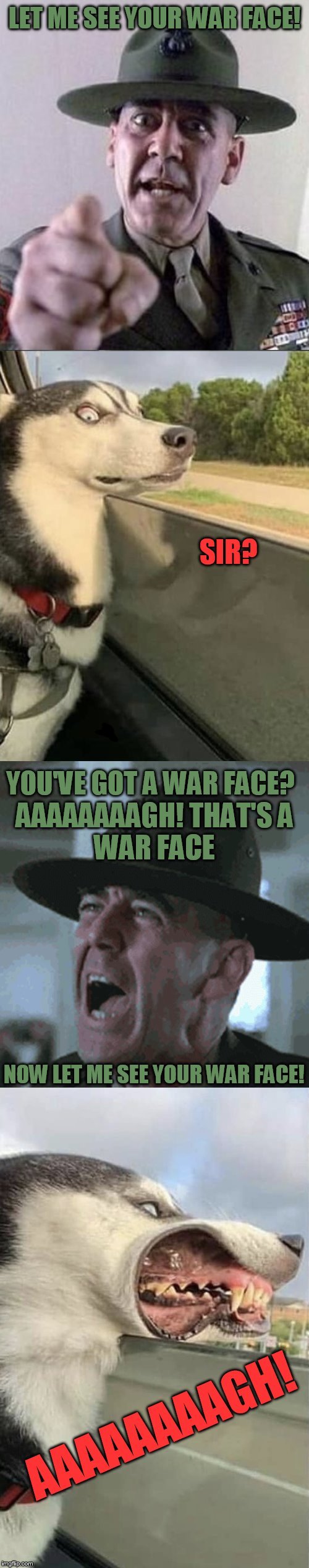 Full Metal Dog | LET ME SEE YOUR WAR FACE! SIR? YOU'VE GOT A WAR FACE? AAAAAAAAGH! THAT'S A WAR FACE; NOW LET ME SEE YOUR WAR FACE! AAAAAAAAGH! | image tagged in full metal jacket,movies,dogs,memes,gunnery sergeant hartman,r lee ermey | made w/ Imgflip meme maker