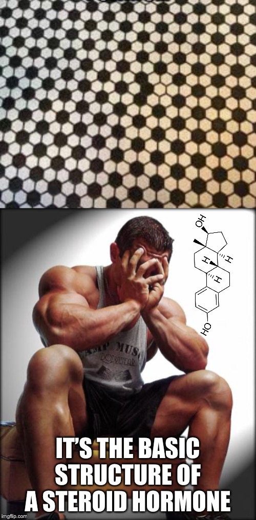  IT’S THE BASIC STRUCTURE OF A STEROID HORMONE | image tagged in depressed bodybuilder,bodybuilding,weight lifting,gym memes,gymlife | made w/ Imgflip meme maker