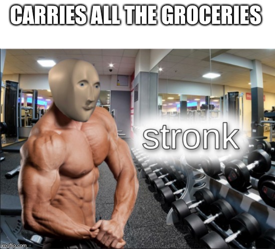 stronks | CARRIES ALL THE GROCERIES | image tagged in stronks | made w/ Imgflip meme maker