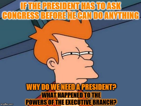 Futurama Fry thinks something sinister is going on | IF THE PRESIDENT HAS TO ASK CONGRESS BEFORE HE CAN DO ANYTHING; WHY DO WE NEED A PRESIDENT? WHAT HAPPENED TO THE POWERS OF THE EXECUTIVE BRANCH? | image tagged in memes,futurama fry | made w/ Imgflip meme maker