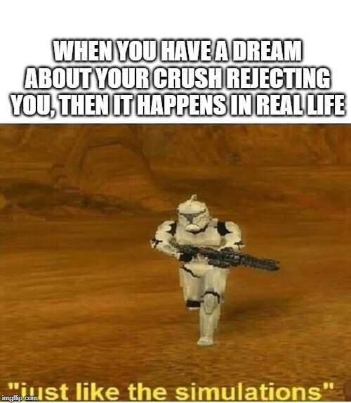 Just like the simulations | WHEN YOU HAVE A DREAM ABOUT YOUR CRUSH REJECTING YOU, THEN IT HAPPENS IN REAL LIFE | image tagged in just like the simulations | made w/ Imgflip meme maker