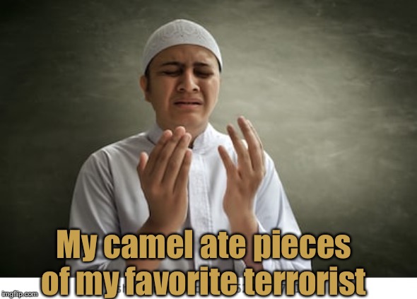 My camel ate pieces of my favorite terrorist | made w/ Imgflip meme maker