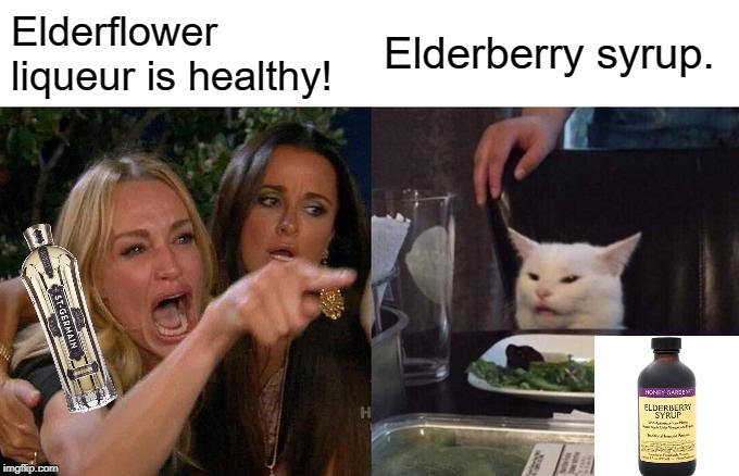 Does it make a difference? | Elderflower liqueur is healthy! Elderberry syrup. | image tagged in woman yelling at cat,elderflower,elderberry | made w/ Imgflip meme maker