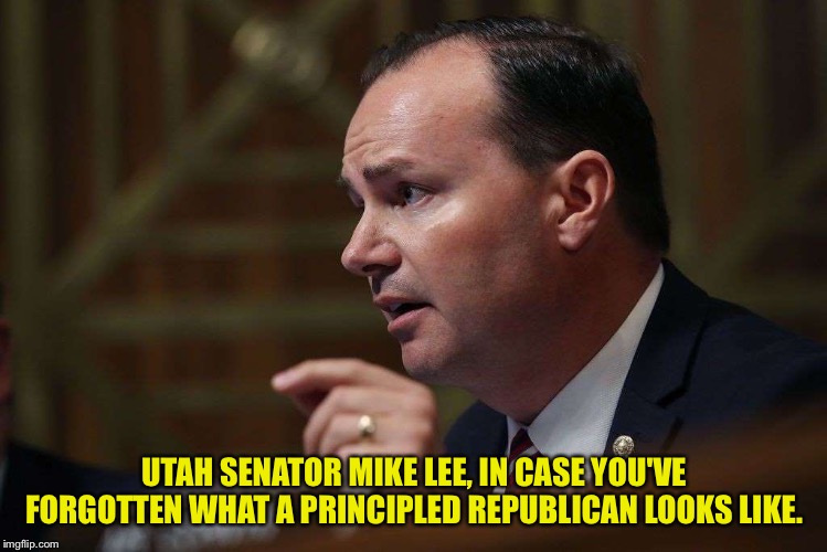 Principled Republican, very rare these days. | UTAH SENATOR MIKE LEE, IN CASE YOU'VE FORGOTTEN WHAT A PRINCIPLED REPUBLICAN LOOKS LIKE. | image tagged in mike lee | made w/ Imgflip meme maker