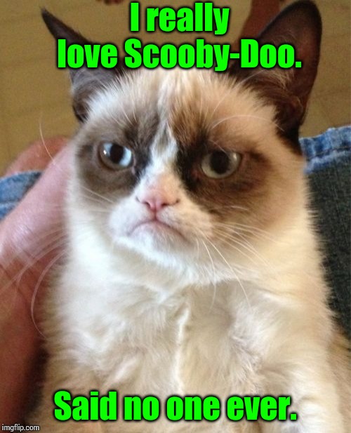 Grumpy Cat Meme | I really love Scooby-Doo. Said no one ever. | image tagged in memes,grumpy cat | made w/ Imgflip meme maker