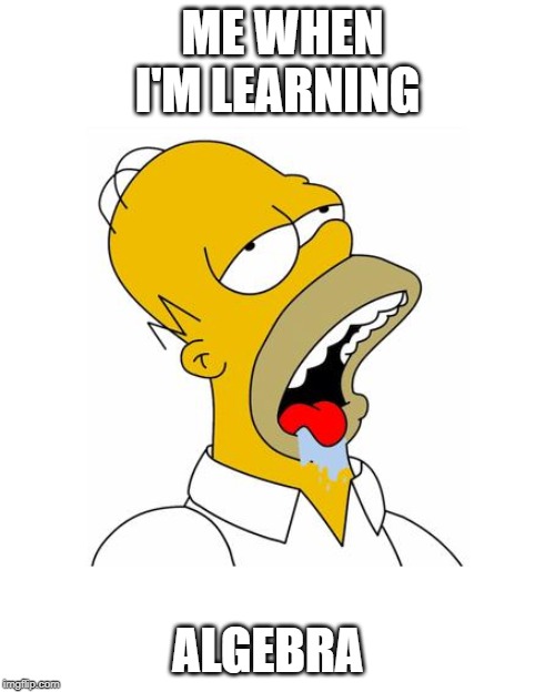 Homer Simpson Drooling | ME WHEN I'M LEARNING; ALGEBRA | image tagged in homer simpson drooling | made w/ Imgflip meme maker