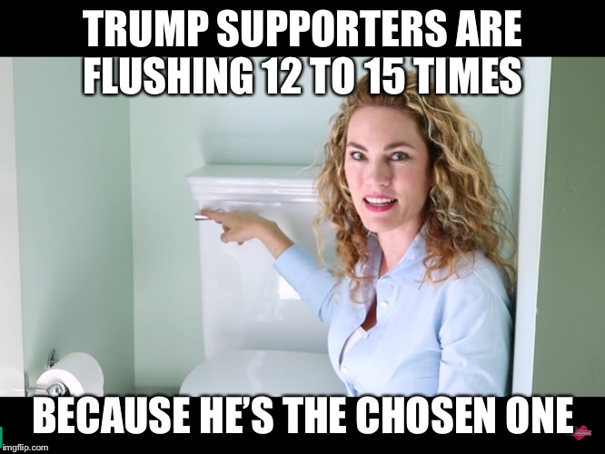 Trump never lies. Especially about toilets. | TRUMP SUPPORTERS ARE FLUSHING 12 TO 15 TIMES; BECAUSE HE’S THE CHOSEN ONE | image tagged in trump,republicans,toilet humor | made w/ Imgflip meme maker