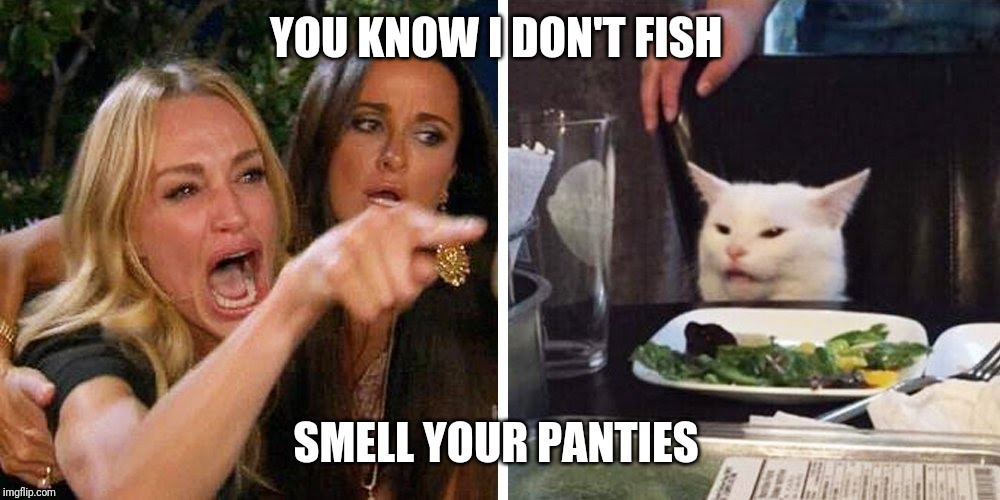 Smudge the cat | YOU KNOW I DON'T FISH; SMELL YOUR PANTIES | image tagged in smudge the cat | made w/ Imgflip meme maker