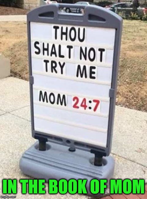 Mother of God | IN THE BOOK OF MOM | image tagged in mom,mother of god | made w/ Imgflip meme maker