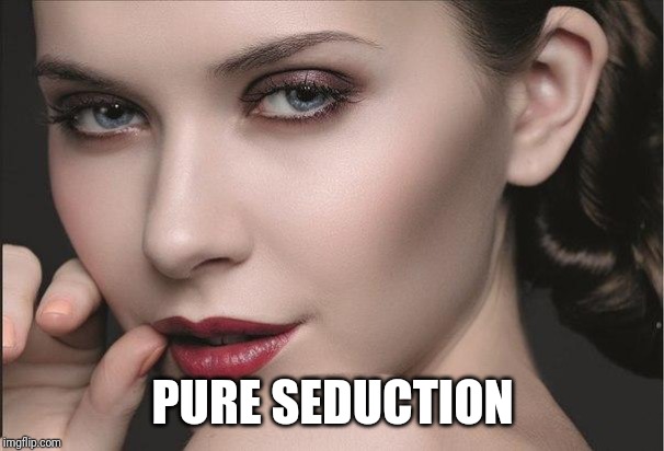 seductive look | PURE SEDUCTION | image tagged in seductive look | made w/ Imgflip meme maker
