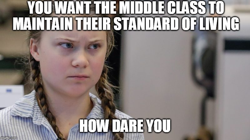 Li'l Potato's outrage over sustainability | YOU WANT THE MIDDLE CLASS TO MAINTAIN THEIR STANDARD OF LIVING; HOW DARE YOU | image tagged in greta thunberg,how dare you,greta thunberg how dare you,ecofascist greta thunberg,sustainabiliy,middle class | made w/ Imgflip meme maker
