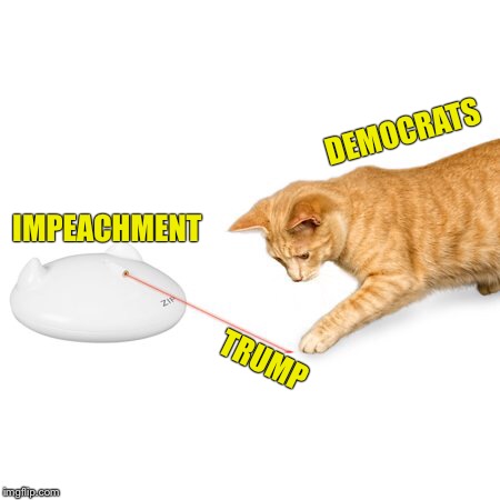 Kitty Got Into The ‘Crat’-nip Again | DEMOCRATS; IMPEACHMENT; TRUMP | image tagged in trump,impeachment,delay,democrats,crat-nip | made w/ Imgflip meme maker