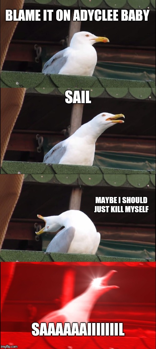 Inhaling Seagull Meme | BLAME IT ON ADYCLEE BABY; SAIL; MAYBE I SHOULD JUST KILL MYSELF; SAAAAAAIIIIIIIL | image tagged in memes,inhaling seagull | made w/ Imgflip meme maker