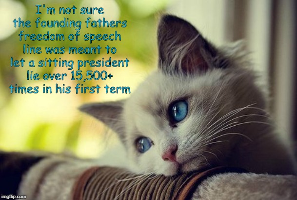 First World Problems Cat | I'm not sure the founding fathers freedom of speech line was meant to let a sitting president lie over 15,500+ times in his first term | image tagged in memes,first world problems cat | made w/ Imgflip meme maker