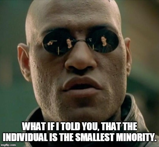 Morpheus What If I Told You (Square) | WHAT IF I TOLD YOU, THAT THE INDIVIDUAL IS THE SMALLEST MINORITY. | image tagged in morpheus what if i told you square | made w/ Imgflip meme maker