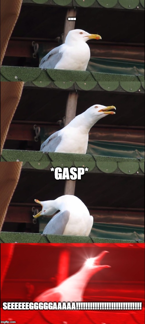 Inhaling Seagull | ... *GASP*; SEEEEEEGGGGGAAAAA!!!!!!!!!!!!!!!!!!!!!!!!!!!! | image tagged in memes,inhaling seagull | made w/ Imgflip meme maker