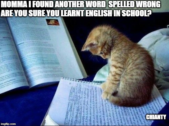 Spelled | MOMMA I FOUND ANOTHER WORD  SPELLED WRONG
ARE YOU SURE YOU LEARNT ENGLISH IN SCHOOL? CHIANTY | image tagged in english | made w/ Imgflip meme maker