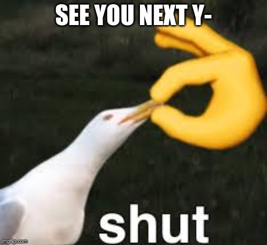 Shut Bird | SEE YOU NEXT Y- | image tagged in shut bird | made w/ Imgflip meme maker